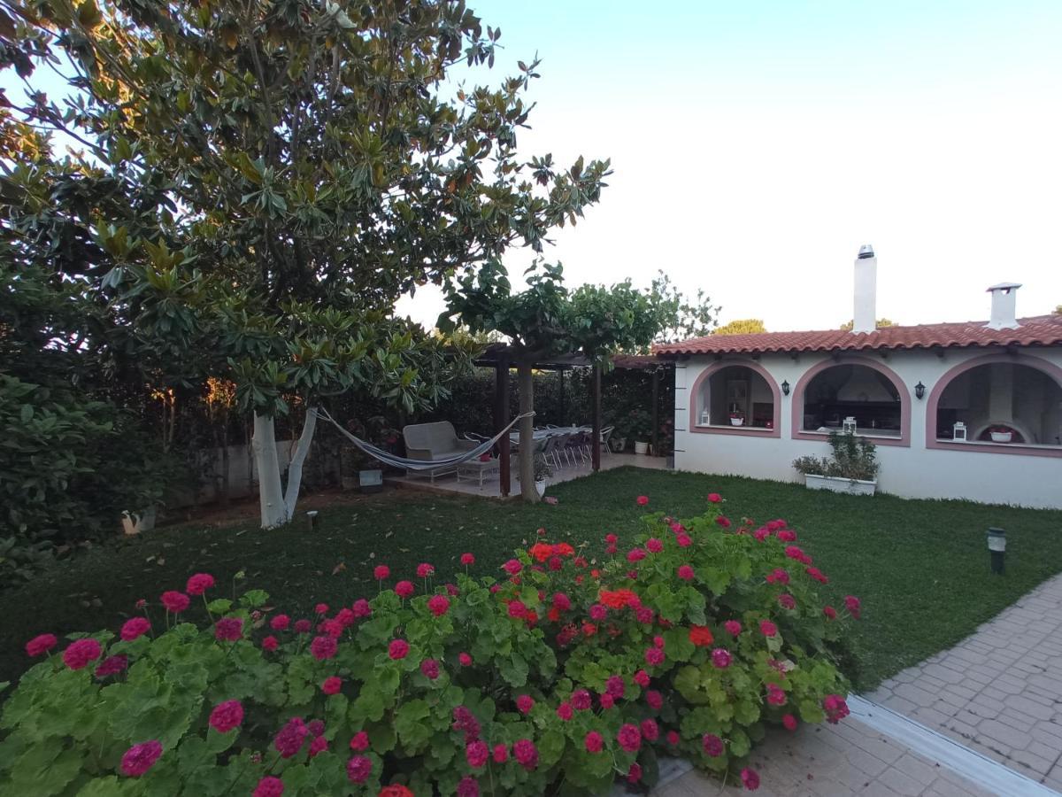 Appartement Flat With Garden Near Sea, Port And Airport à Artemi Extérieur photo